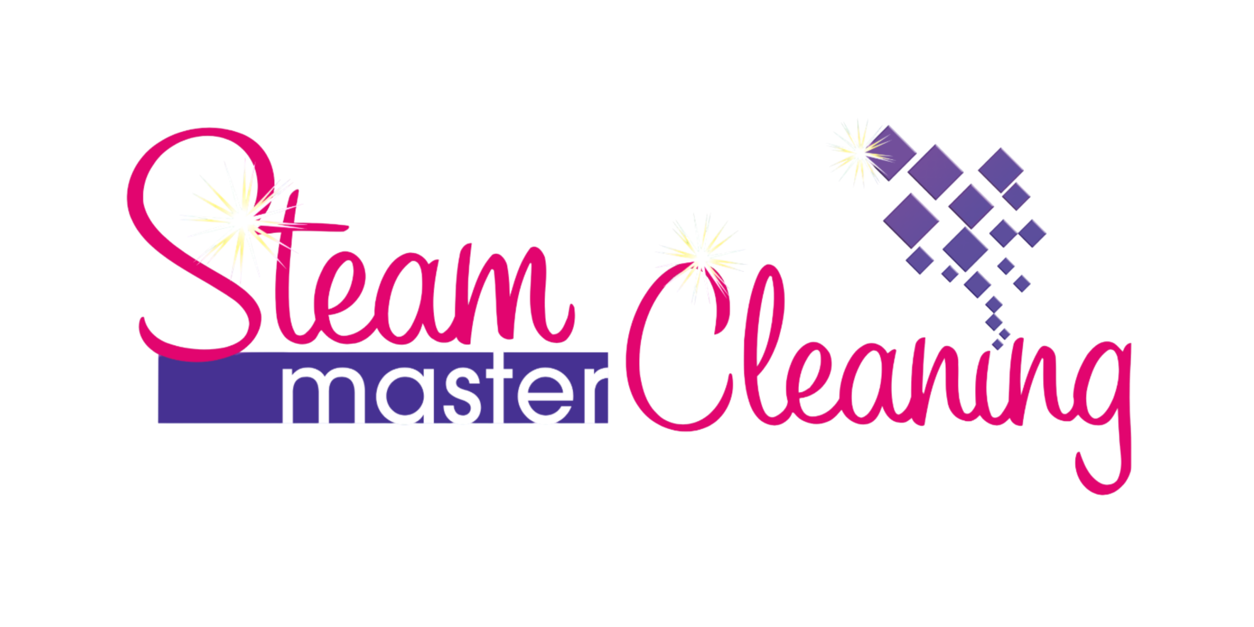 Steam Master Cleaning